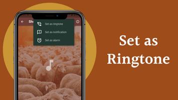 Sheep Sounds screenshot 3