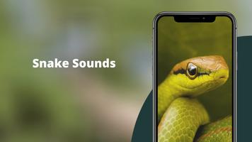 Snake Sounds Plakat