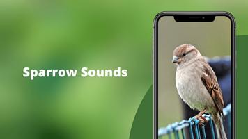 Sparrow Sounds - Sparrow Calls bài đăng