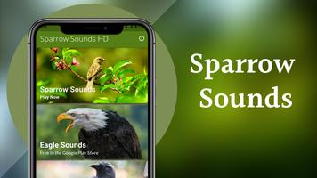 Sparrow Sounds - Sparrow Calls ảnh chụp màn hình 1