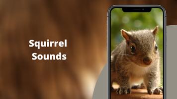 Squirrel Hunting Calls Plakat