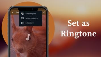 Squirrel Hunting Calls Screenshot 3