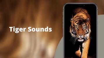 Tiger Sounds bài đăng