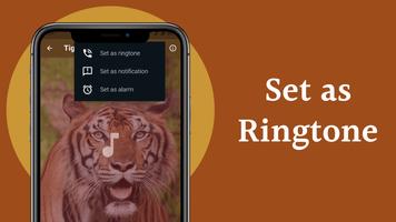 Tiger Sounds ảnh chụp màn hình 3