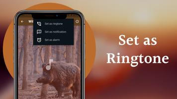 WildBoar Sounds - Hunting call ảnh chụp màn hình 3