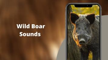 WildBoar Sounds - Hunting call bài đăng