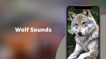 Wolf Sounds bài đăng