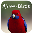 African Birds Sounds South African Birds Sounds APK