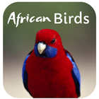 African Birds Sounds icône