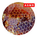 Asmr Honeycomb Honey Asmr Satisfying APK