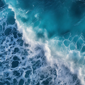 Sea Sounds