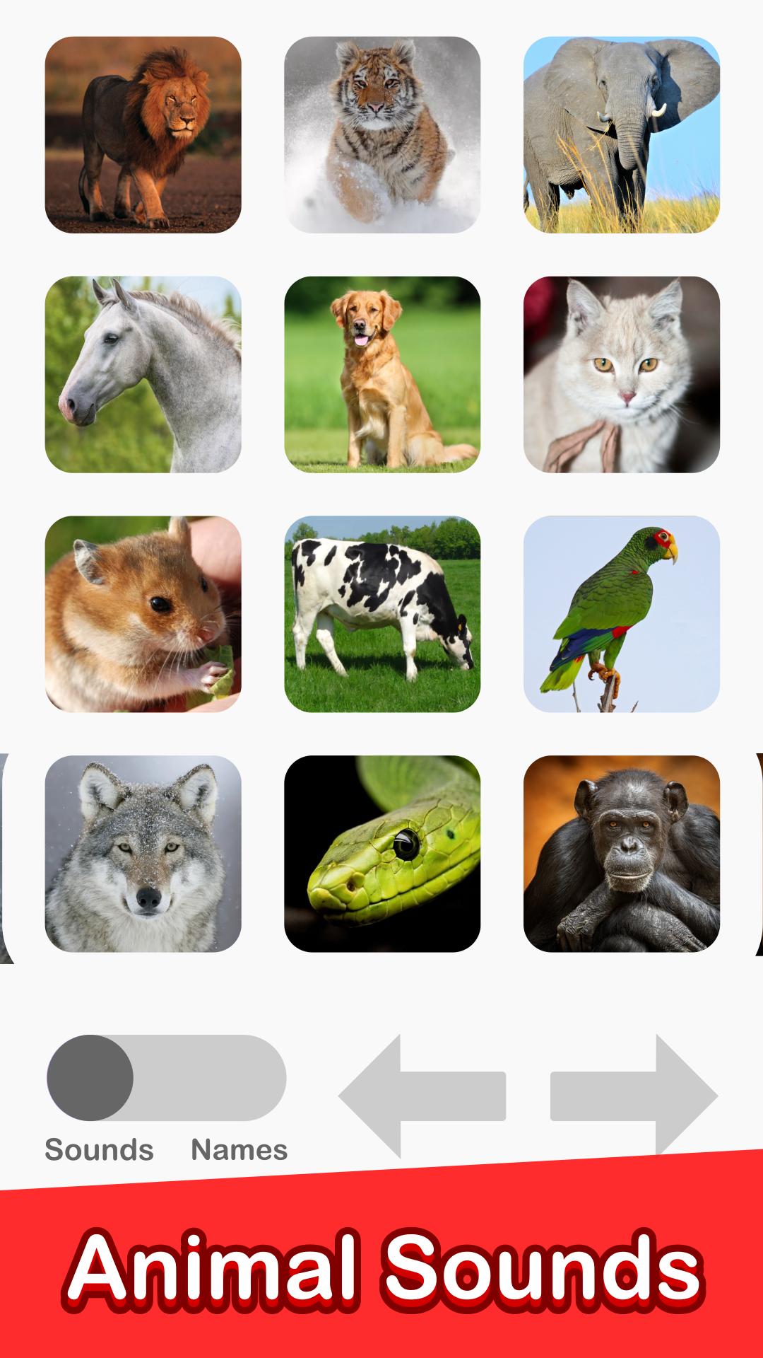 Animal Sounds - 100 Buttons! APK for Android Download