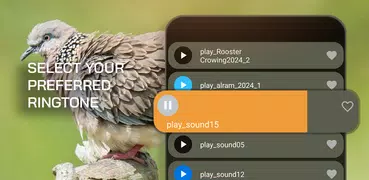 Thailändischer Vogel