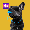 Dog Whistle: Sounds APK