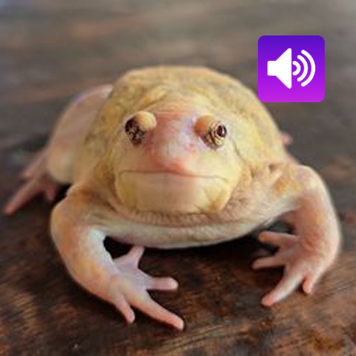 Kaloula Sound: Chiamate