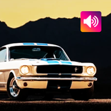 Muscle-Car: Geräusche Zeichen