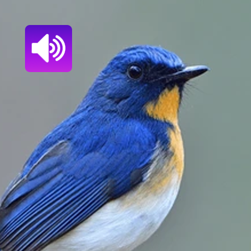 Bird Sounds и рингтоны