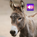 ロバ：音 APK