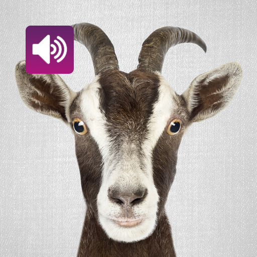 Ziege: Sounds und Klingeltöne