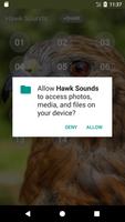 Hawk Звуки скриншот 3
