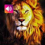 Icona Leone: Suoni e Suonerie