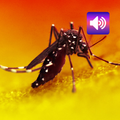 Mosquito: Sonidos