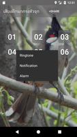Red-whiskered bulbul sounds screenshot 1