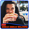 Charlie damelio wallpaper 2021