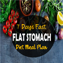 FAST FLAT STOMACH DIET APK