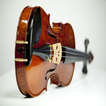 LEARN VIOLIN FAST icon