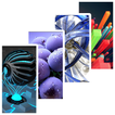 3D Wallpapers