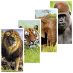 Animal Wallpapers ikon