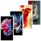 Betta Fish Wallpapers icône