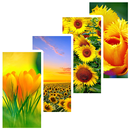 4K Flower Wallpapers APK