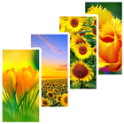 4K Flower Wallpapers icône