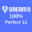 Daily Playing Team & News - Dream11 and IPL Team aplikacja