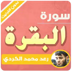 Descargar APK de سورة البقرة كاملة 2021 رعد الكردي بدون نت