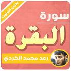 сура Бакара без интернета раад аль курди иконка