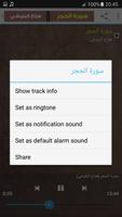 سورة الحجر كاملة بدون نت هزاع البلوشي скриншот 3