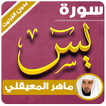 surah yasin maher al muaiqly offline