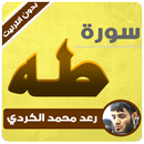 سورة طه رعد الكردي بدون انترنت APK