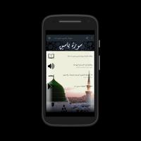 سورة ياسين قرآن كريم عبد البسط تصوير الشاشة 2