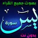 سورة يس بصوت أشهر القراء - بدون نت APK