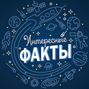 Интересные факты APK