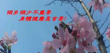 勞保年金試算