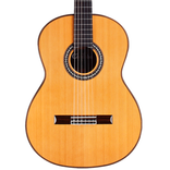 Guitars