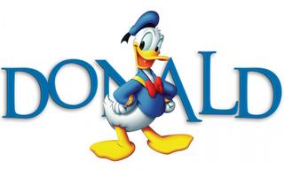 Donald Duck Game screenshot 1