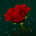 Enchanted Rose ikon