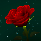 Enchanted Rose أيقونة