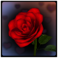 3D Rose Bouquet Live Wallpaper